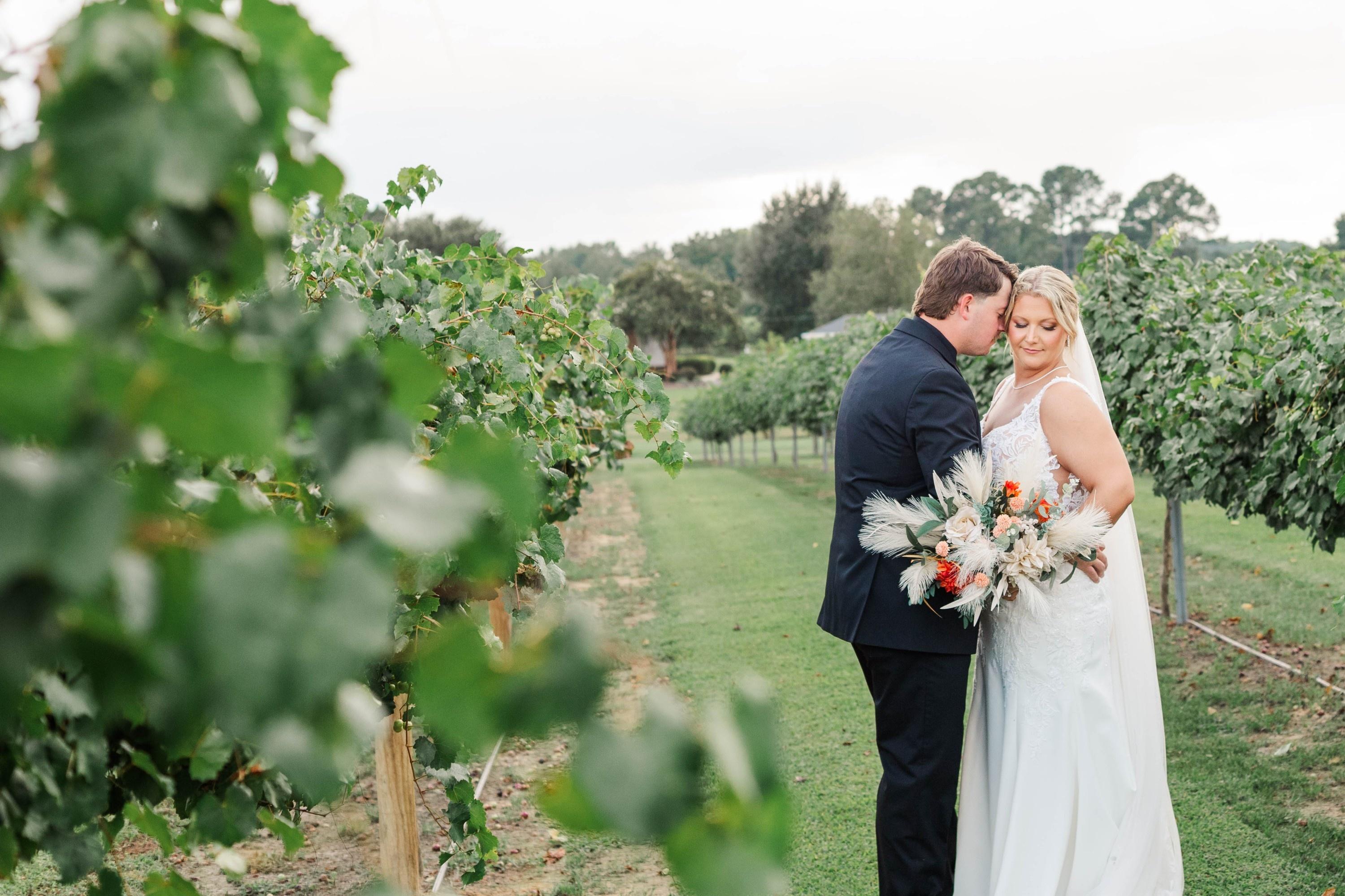 carousel-hero-element image-3